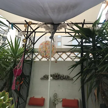 Papillon B&B *